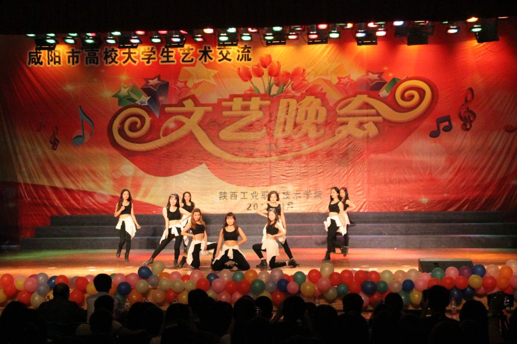 咸阳市高校大学生艺术团艺术交流文艺晚会在我院举行