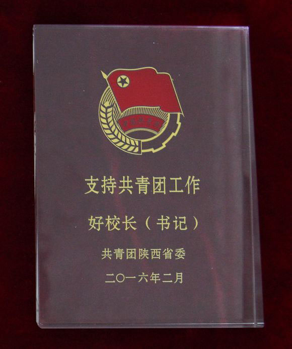 党委书记崔岩荣获2015年支持共青团工作好书记称号