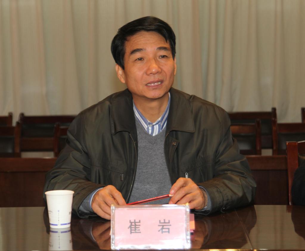 崔岩书记讲话